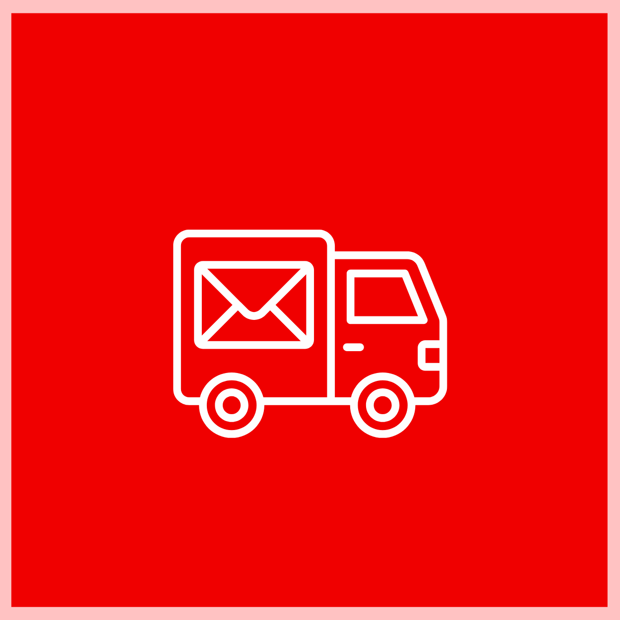 Domestic Express Shipping